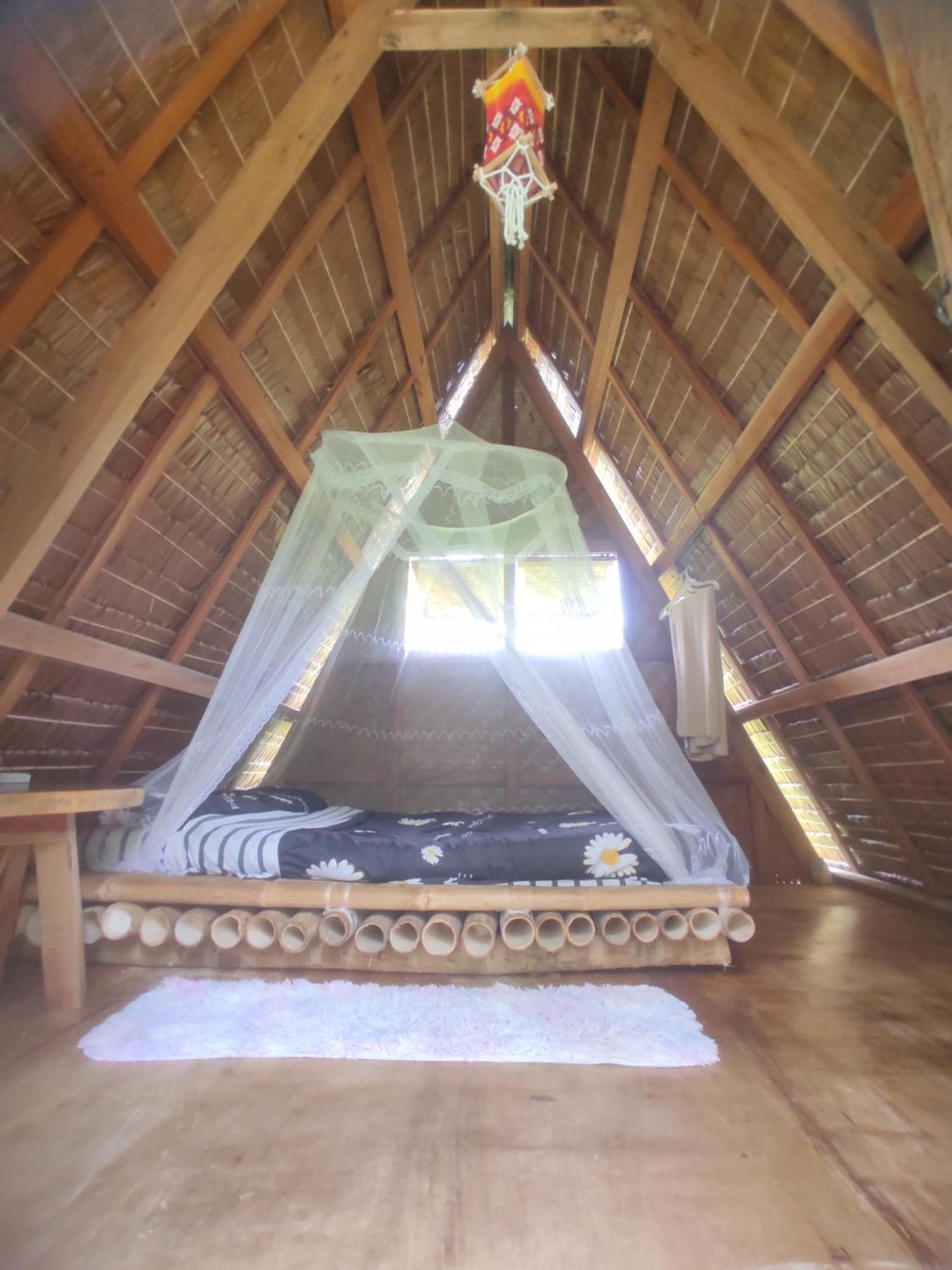 Firefly Treehouse Cafe And Bar Hotel Lazi Luaran gambar
